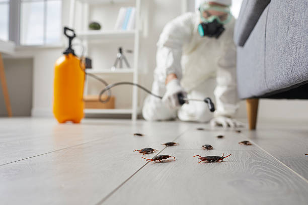 Commercial Kitchen Cockroach Control in Shaker Heights